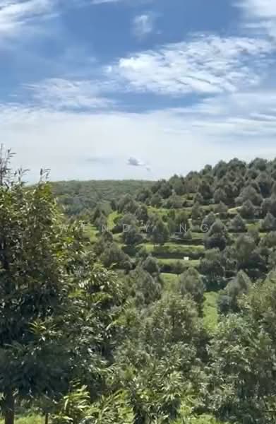 Agricultural Land for Sale in Kampung Jawa (Kerling) - Wendy Ng - Exterior - PropertyGuru.com.my