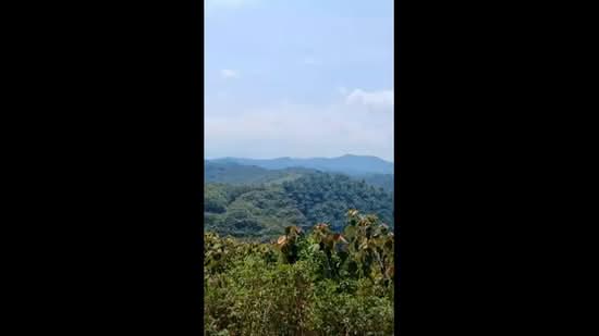 Agricultural Land for Sale in Kerling (Selangor) - Wendy Ng - PropertyGuru.com.my