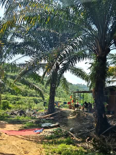 Agricultural Land for Sale in Kerling (Selangor) - Wendy Ng - PropertyGuru.com.my