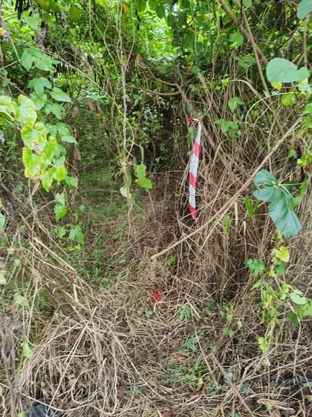 Commercial Land for Rent in Cheras (Kuala Lumpur) - Hugo Gooi - Exterior - PropertyGuru.com.my