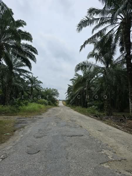 Agricultural Land for Sale in Seri Manjung (Sitiawan) - Eugene Choo - Exterior - PropertyGuru.com.my