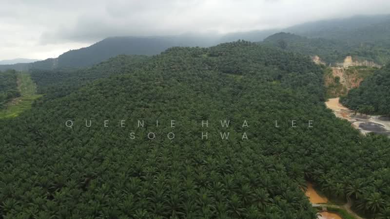 Industrial Land for Sale in Banting (Selangor) - Queenie Hwa Lee Soo Hwa - PropertyGuru.com.my