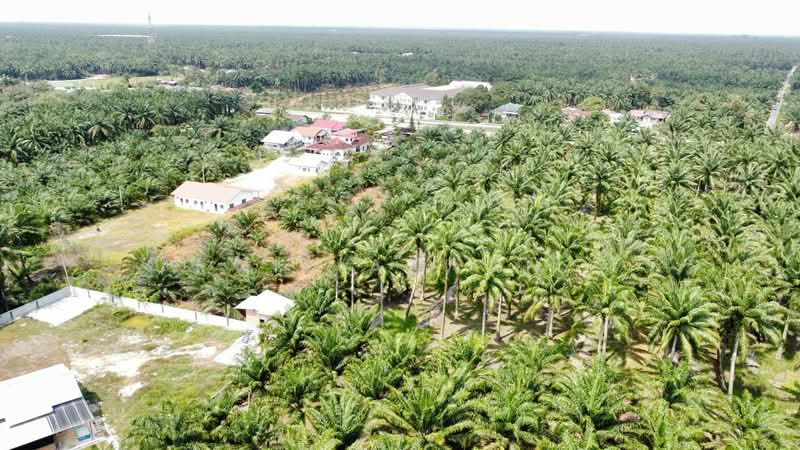 Tanah Pertanian untuk Dijual di Ijok (Selangor) - NIK AZWAN - Exterior - PropertyGuru.com.my
