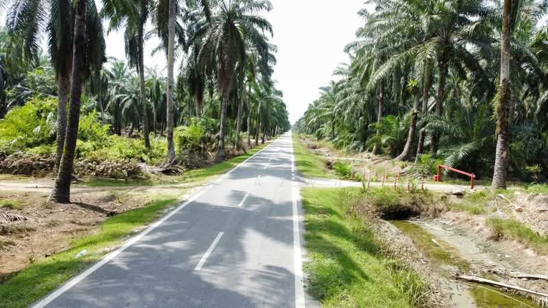 Tanah Pertanian untuk Dijual di Ijok (Selangor) - NIK AZWAN - Exterior - PropertyGuru.com.my