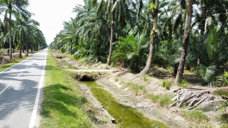 Tanah Pertanian untuk Dijual di Ijok (Selangor) - NIK AZWAN - Exterior - PropertyGuru.com.my