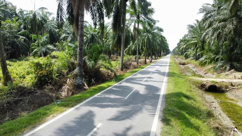 Tanah Pertanian untuk Dijual di Ijok (Selangor) - NIK AZWAN - Exterior - PropertyGuru.com.my