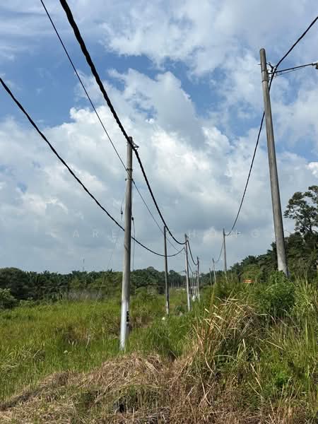 Industrial Land for Sale in Kota Tinggi (Johor) - Caren Chong - Exterior - PropertyGuru.com.my
