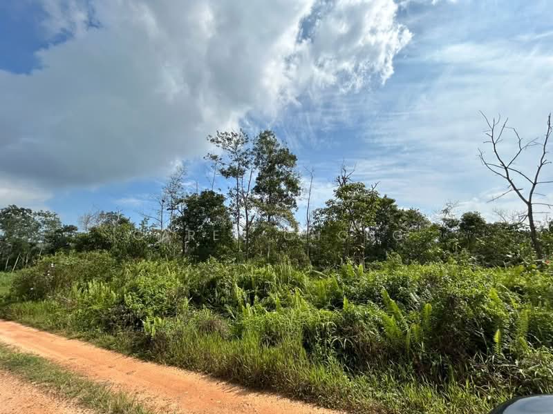 Industrial Land for Sale in Kota Tinggi (Johor) - Caren Chong - Exterior - PropertyGuru.com.my
