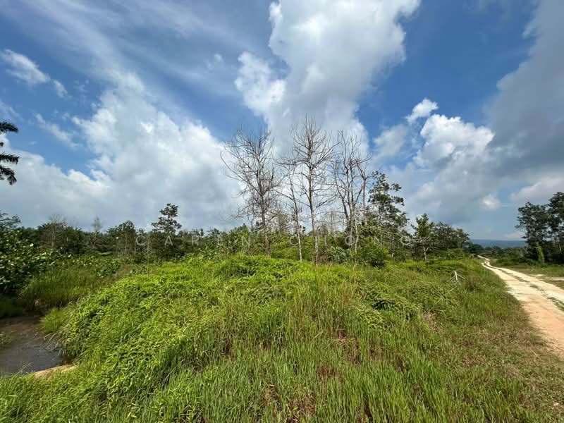 Industrial Land for Sale in Kota Tinggi (Johor) - Caren Chong - PropertyGuru.com.my
