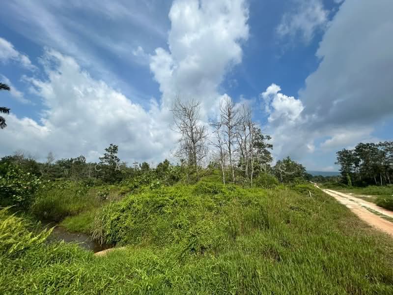 Industrial Land for Sale in Kota Tinggi (Johor) - Caren Chong - PropertyGuru.com.my
