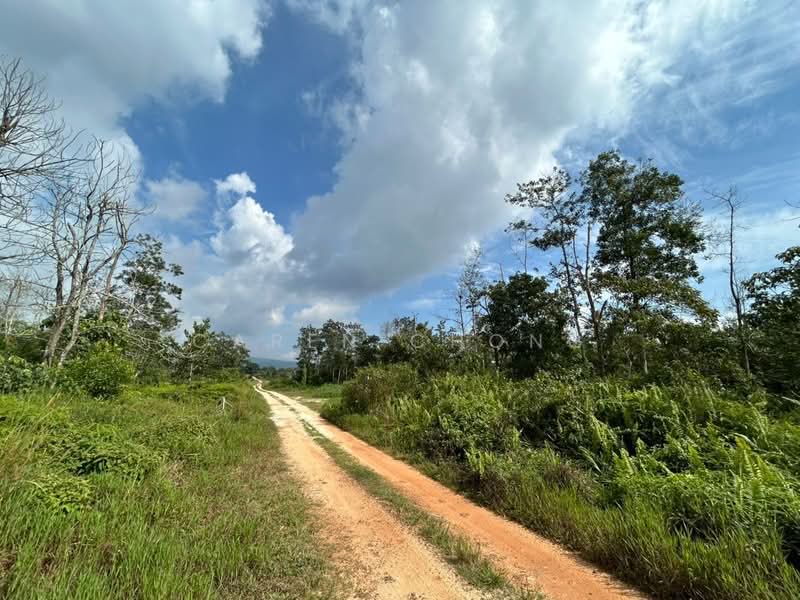 Industrial Land for Sale in Kota Tinggi (Johor) - Caren Chong - PropertyGuru.com.my