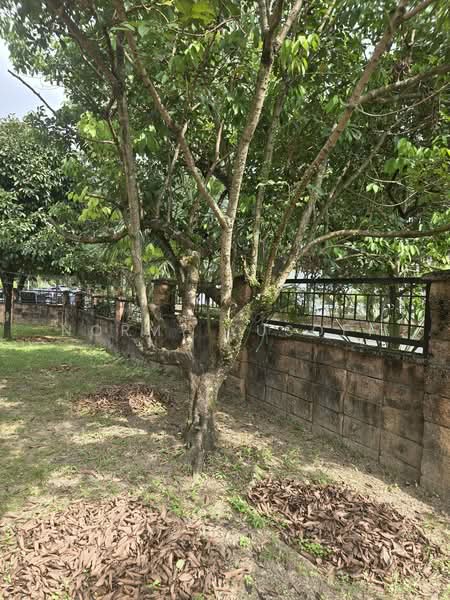 Rumah Teres 2 Tingkat untuk Dijual di Bukit Jelutong (Shah Alam) - Normy Yusoff - Exterior - PropertyGuru.com.my