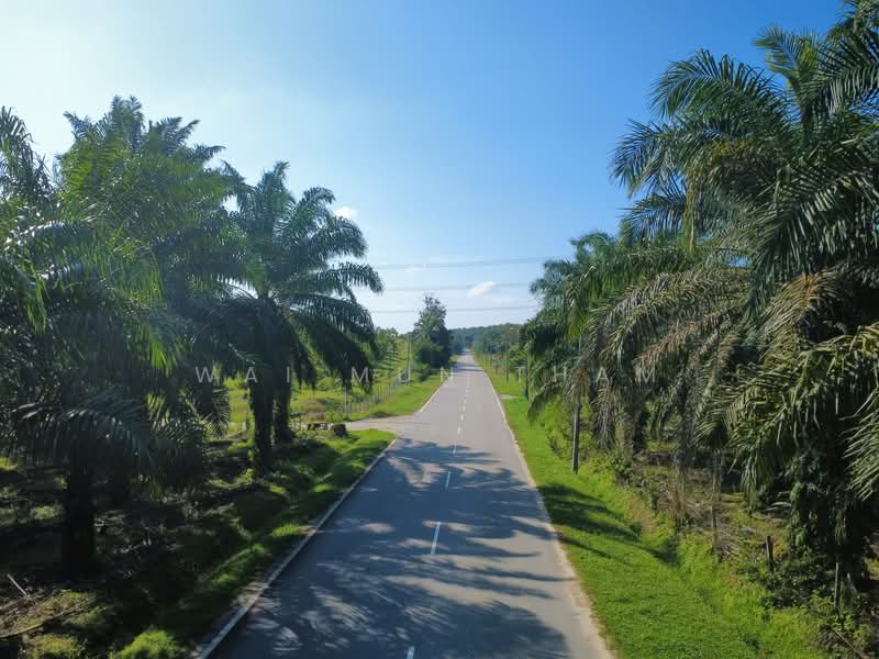 Tanah Pertanian untuk Dijual di Gemencheh (Negeri Sembilan) - Wai Mun Tham - Exterior - PropertyGuru.com.my