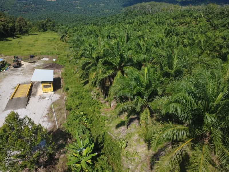 Tanah Pertanian untuk Dijual di Gemencheh (Negeri Sembilan) - Wai Mun Tham - Exterior - PropertyGuru.com.my