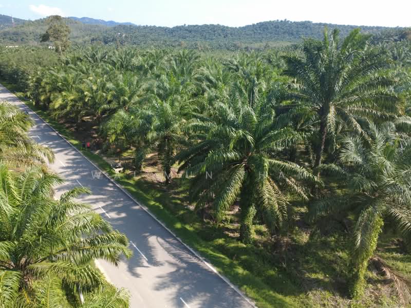 Tanah Pertanian untuk Dijual di Gemencheh (Negeri Sembilan) - Wai Mun Tham - Exterior - PropertyGuru.com.my