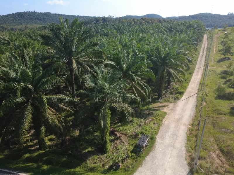 Tanah Pertanian untuk Dijual di Gemencheh (Negeri Sembilan) - Wai Mun Tham - Exterior - PropertyGuru.com.my