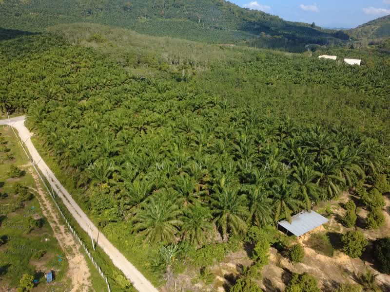 Tanah Pertanian untuk Dijual di Gemencheh (Negeri Sembilan) - Wai Mun Tham - Exterior - PropertyGuru.com.my