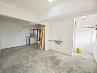 For Sale - Tampoi tampoi tampois