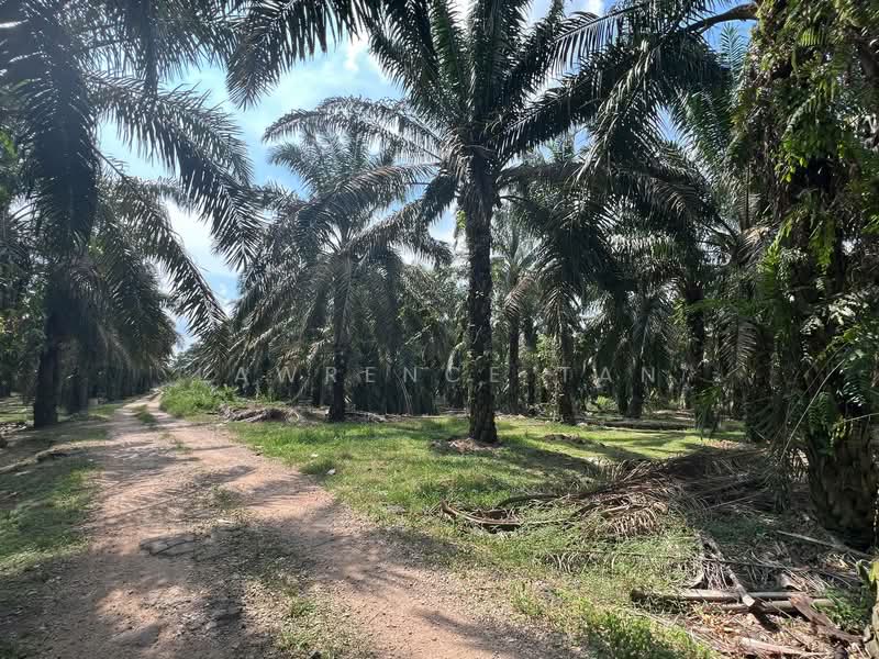 Agricultural Land for Sale in Kulai (Johor) - Lawrence Tan - PropertyGuru.com.my