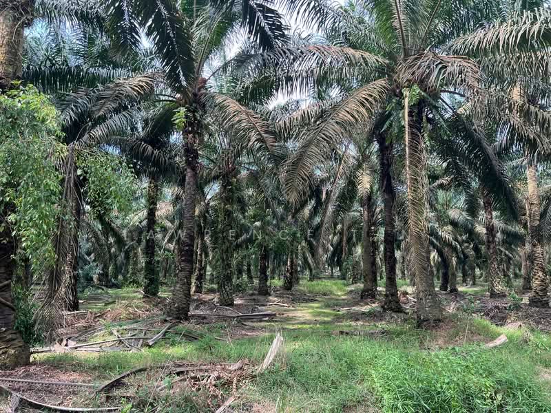 Agricultural Land for Sale in Kulai (Johor) - Lawrence Tan - PropertyGuru.com.my