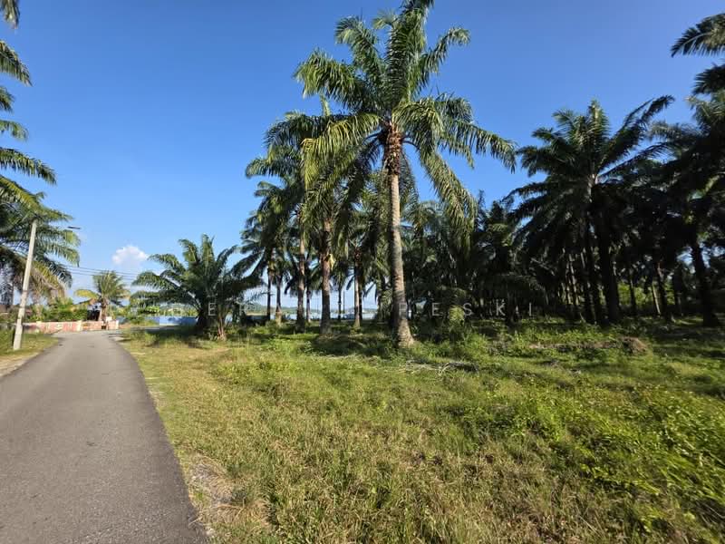 Tanah Pertanian untuk Dijual di Seberang Perai (Penang) - Gerald Peski - Exterior - PropertyGuru.com.my