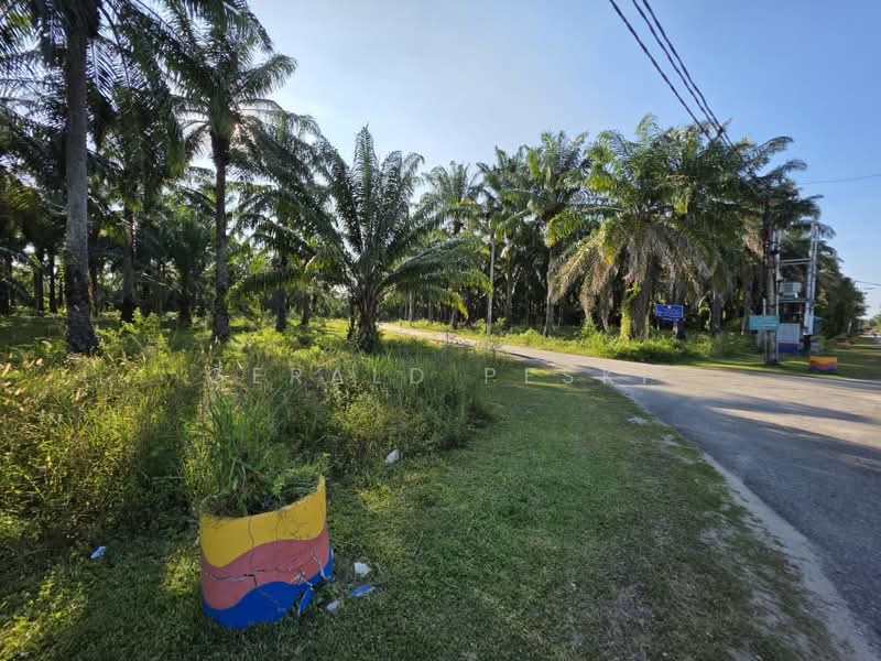 Tanah Pertanian untuk Dijual di Seberang Perai (Penang) - Gerald Peski - PropertyGuru.com.my