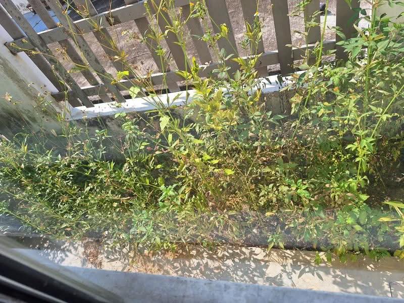 2-storey Terraced House for Sale in Setia Ecohill (Semenyih) - Jesslyn Lee - Exterior - PropertyGuru.com.my