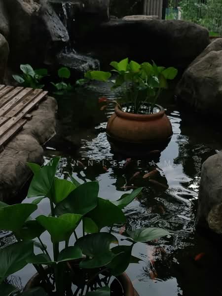 Condominium for Rent at Kiara View - Winnie Fam - Garden - PropertyGuru.com.my