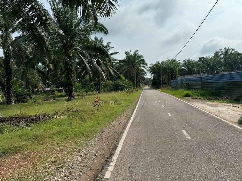 Agricultural Land for Sale in Kukup (Johor) - Evanne Wan - Exterior - PropertyGuru.com.my