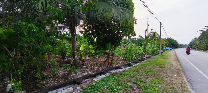 Agricultural Land for Sale in Kukup (Johor) - Evanne Wan - Exterior - PropertyGuru.com.my