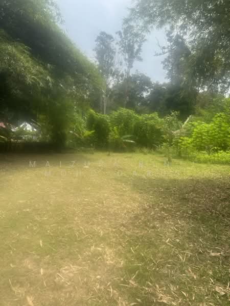 Residential Land for Sale in Hulu Langat (Selangor) - Maizura binti Mohd Darus - Garden - PropertyGuru.com.my