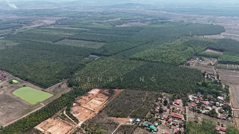 Agricultural Land for Sale in Pendang (Kedah) - Henry Ng - Exterior - PropertyGuru.com.my