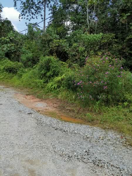 Agricultural Land for Sale in Sungai Long (Bandar Sungai Long) - Alice Kham - Exterior - PropertyGuru.com.my