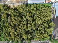 For Rent - Batu Arang