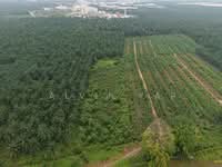 For Rent - Batu Arang