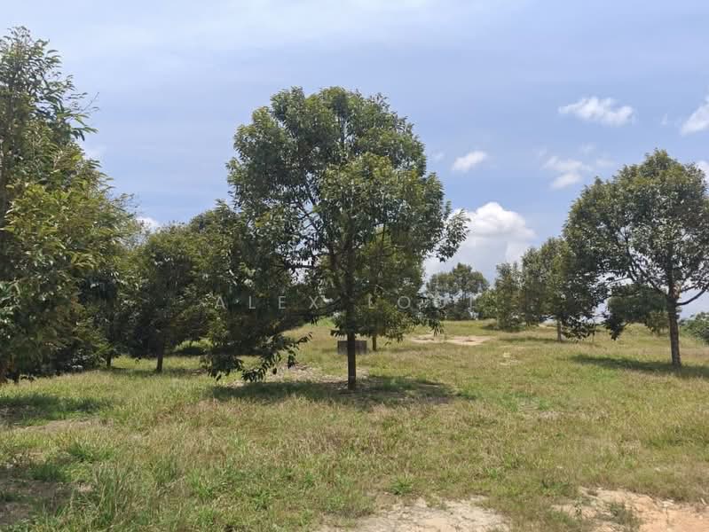 Agricultural Land for Sale in Senai (Johor) - Alex Looi - Garden - PropertyGuru.com.my