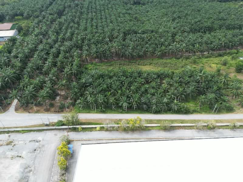 Residential Land for Sale in Kuala Selangor (Selangor) - Zairul Asrah Zulkefli - Exterior - PropertyGuru.com.my