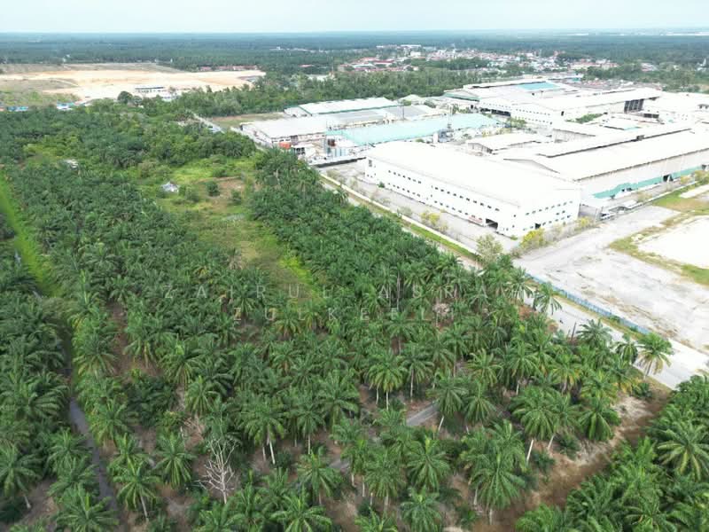 Residential Land for Sale in Kuala Selangor (Selangor) - Zairul Asrah Zulkefli - Exterior - PropertyGuru.com.my
