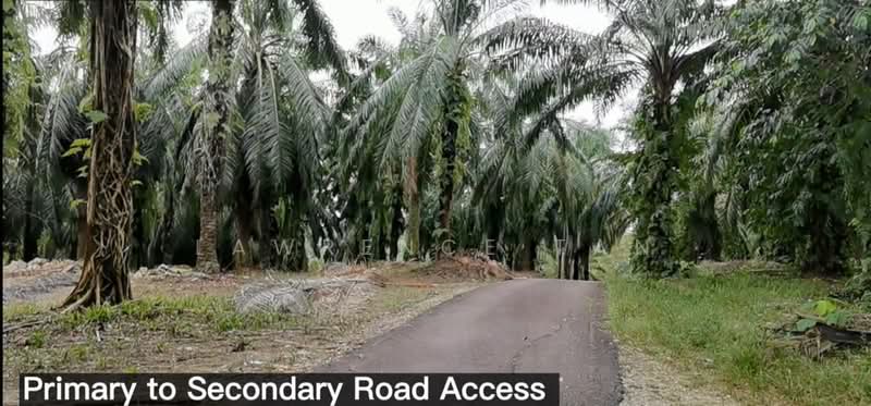 Agricultural Land for Sale in Pelabuhan Tanjung Pelepas (Gelang Patah) - Lawrence Tan - PropertyGuru.com.my