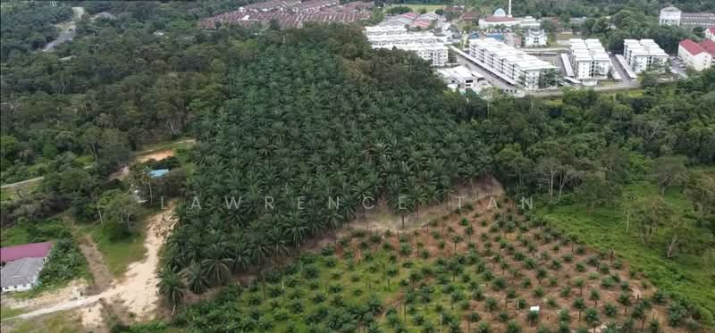 Agricultural Land for Sale in Pelabuhan Tanjung Pelepas (Gelang Patah) - Lawrence Tan - Exterior - PropertyGuru.com.my