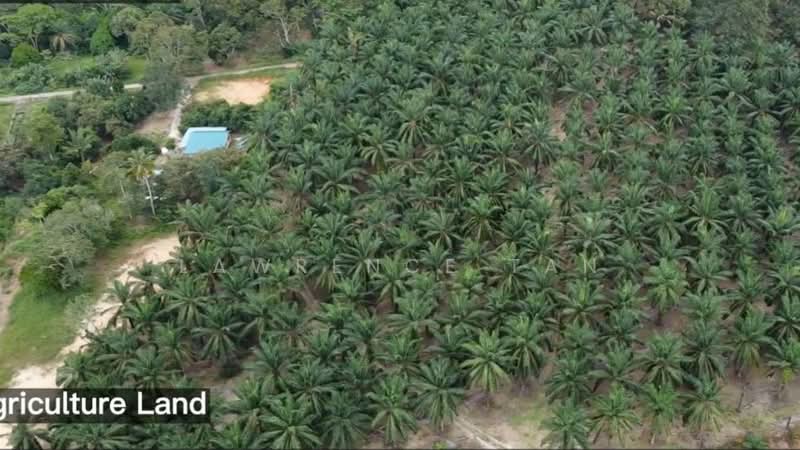Agricultural Land for Sale in Pelabuhan Tanjung Pelepas (Gelang Patah) - Lawrence Tan - Exterior - PropertyGuru.com.my