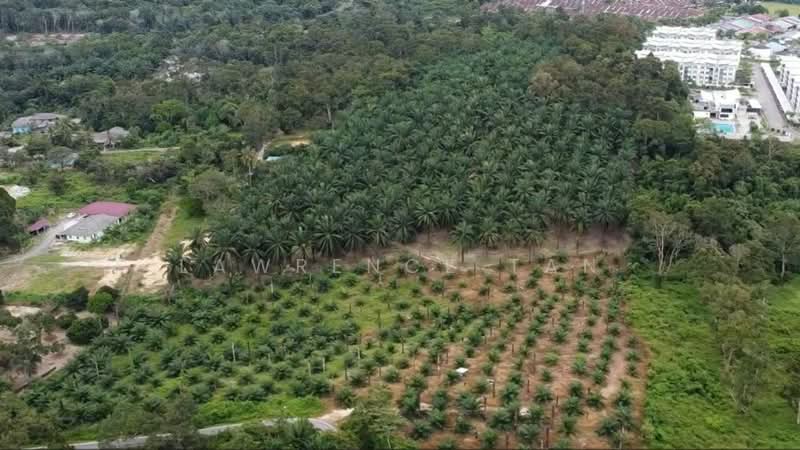Agricultural Land for Sale in Pelabuhan Tanjung Pelepas (Gelang Patah) - Lawrence Tan - Exterior - PropertyGuru.com.my