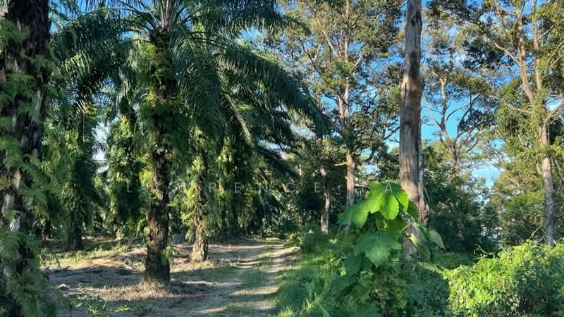 Agricultural Land for Sale in Pelabuhan Tanjung Pelepas (Gelang Patah) - Lawrence Tan - Exterior - PropertyGuru.com.my