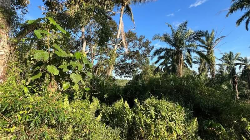 Agricultural Land for Sale in Pelabuhan Tanjung Pelepas (Gelang Patah) - Lawrence Tan - Exterior - PropertyGuru.com.my