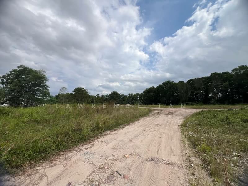 For Sale - 4.25 Acre Agricultural Land (Residential) in Danga Sutera