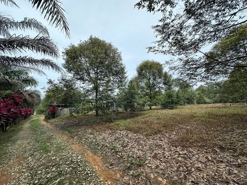 Tanah Pertanian untuk Dijual di Sedenak (Johor) - June Tan - PropertyGuru.com.my