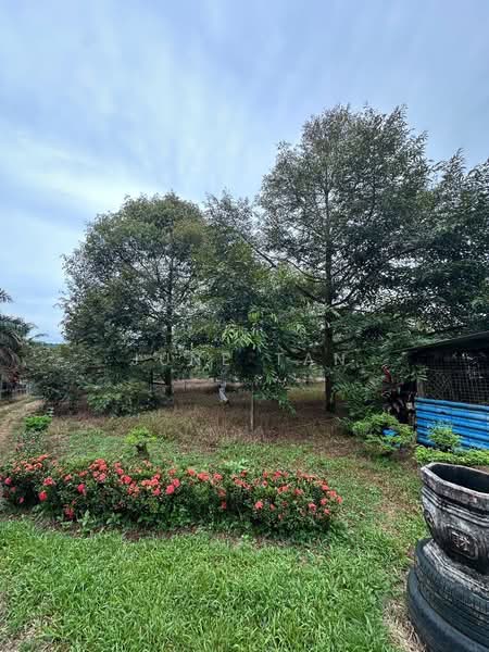 Tanah Pertanian untuk Dijual di Sedenak (Johor) - June Tan - PropertyGuru.com.my