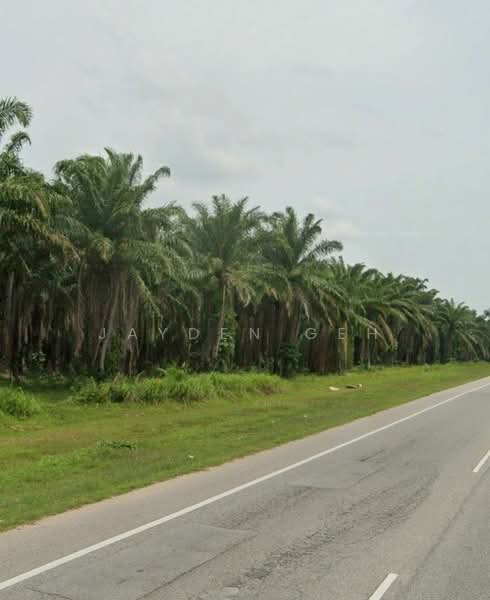 Tanah Pertanian untuk Dijual di Pokok Sena (Kedah) - Jayden Geh - Exterior - PropertyGuru.com.my