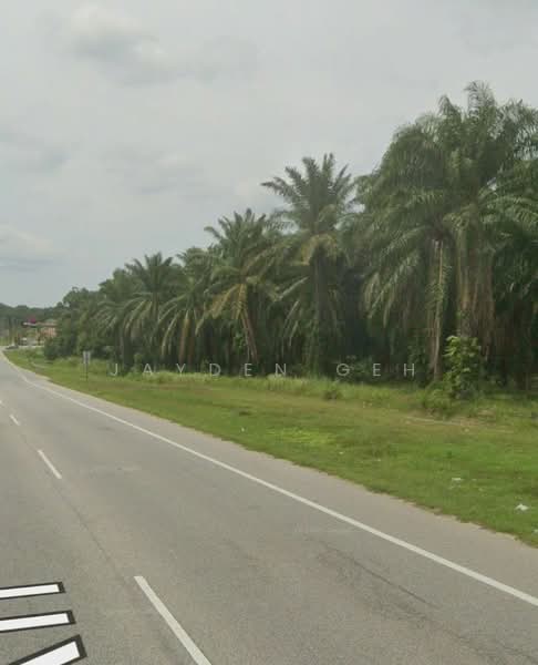 Tanah Pertanian untuk Dijual di Pokok Sena (Kedah) - Jayden Geh - PropertyGuru.com.my