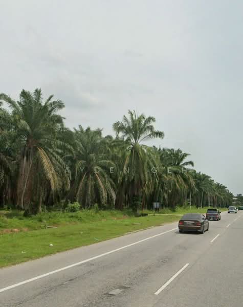Tanah Pertanian untuk Dijual di Pokok Sena (Kedah) - Jayden Geh - PropertyGuru.com.my